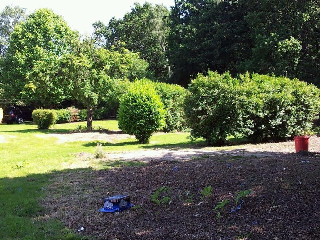 Affittacamere Ruxley Sidcup